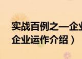 实战百例之—企业运作（关于实战百例之—企业运作介绍）