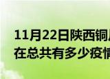 11月22日陕西铜川疫情新增确诊数及铜川现在总共有多少疫情