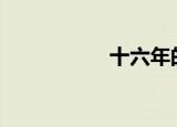 十六年的绝对爱情txt
