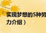 实现梦想的5种努力（关于实现梦想的5种努力介绍）
