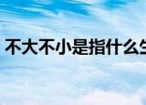不大不小是指什么生肖（不大不小打一生肖）