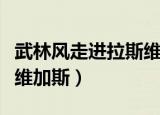 武林风走进拉斯维加斯唐金（武林风走进拉斯维加斯）