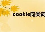 cookie同类词3个（cookietong）