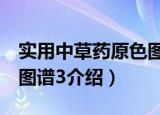 实用中草药原色图谱3（关于实用中草药原色图谱3介绍）