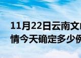 11月22日云南文山目前疫情是怎样及文山疫情今天确定多少例了