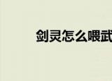 剑灵怎么喂武器（剑灵武器喂养）