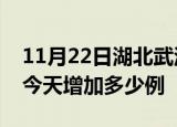 11月22日湖北武汉疫情最新数量及武汉疫情今天增加多少例
