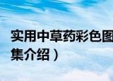 实用中草药彩色图集（关于实用中草药彩色图集介绍）