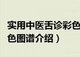 实用中医舌诊彩色图谱（关于实用中医舌诊彩色图谱介绍）