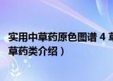 实用中草药原色图谱 4 草药类（关于实用中草药原色图谱 4 草药类介绍）