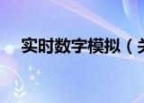 实时数字模拟（关于实时数字模拟介绍）