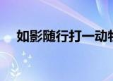 如影随行打一动物（如影随形打一动物）