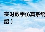 实时数字仿真系统（关于实时数字仿真系统介绍）