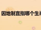 因地制宜指哪个生肖（因地制宜是什么生肖）
