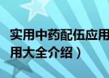 实用中药配伍应用大全（关于实用中药配伍应用大全介绍）