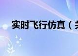 实时飞行仿真（关于实时飞行仿真介绍）