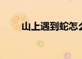 山上遇到蛇怎么办（遇到蛇怎么办）