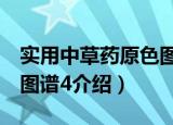 实用中草药原色图谱4（关于实用中草药原色图谱4介绍）
