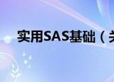 实用SAS基础（关于实用SAS基础介绍）