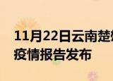 11月22日云南楚雄最新疫情状况及楚雄最新疫情报告发布