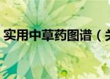 实用中草药图谱（关于实用中草药图谱介绍）