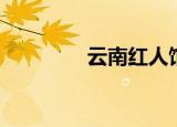云南红人馆（昆明红人居）