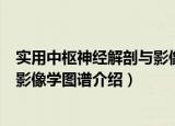 实用中枢神经解剖与影像学图谱（关于实用中枢神经解剖与影像学图谱介绍）