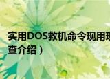 实用DOS救机命令现用现查（关于实用DOS救机命令现用现查介绍）