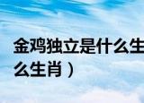 金鸡独立是什么生肖什么动物（金鸡独立是什么生肖）
