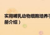 实用哺乳动物细胞培养手册（关于实用哺乳动物细胞培养手册介绍）