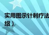 实用图示针刺疗法（关于实用图示针刺疗法介绍）