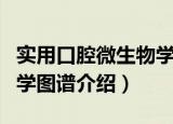 实用口腔微生物学图谱（关于实用口腔微生物学图谱介绍）
