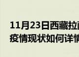 11月23日西藏拉萨最新疫情通报及拉萨今天疫情现状如何详情