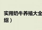 实用奶牛养殖大全（关于实用奶牛养殖大全介绍）