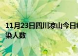 11月23日四川凉山今日疫情数据及凉山疫情最新通报今天感染人数