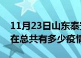 11月23日山东泰安疫情新增确诊数及泰安现在总共有多少疫情