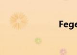 Feger（feger）