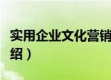 实用企业文化营销（关于实用企业文化营销介绍）