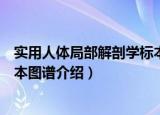 实用人体局部解剖学标本图谱（关于实用人体局部解剖学标本图谱介绍）