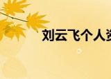 刘云飞个人资料（刘云飞近况）