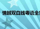 情越双白线粤语全集tvb（情越海岸线粤语）