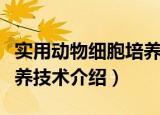 实用动物细胞培养技术（关于实用动物细胞培养技术介绍）