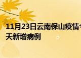11月23日云南保山疫情今日最新情况及保山疫情最新消息今天新增病例