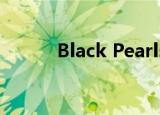 Black Pearls 1（black pearl）