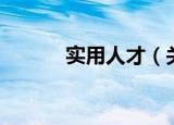 实用人才（关于实用人才介绍）