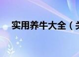 实用养牛大全（关于实用养牛大全介绍）
