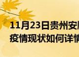 11月23日贵州安顺最新疫情通报今天及安顺疫情现状如何详情