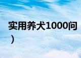 实用养犬1000问（关于实用养犬1000问介绍）