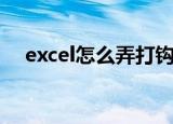 excel怎么弄打钩（如何在excel中打钩）