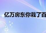 亿万房东你栽了百度云（亿万房东你栽了）